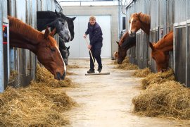 Paardenopfok past prima in bouwplan akkerbouwbedrijf