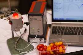 Topsector: veel raadsels inhoudsstoffen groente en fruit nog onopgelost