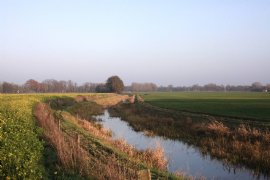 'Samenwerking akkerbouwer en veehouder is nog geen Haarlemmerolie'