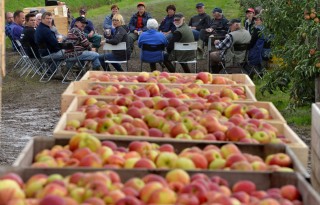 Minder appels en peren in Europa