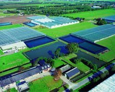 Nieuw peilbesluit polder Bleiswijk