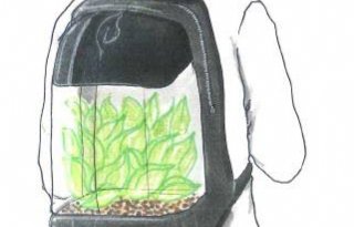 Plant bag wint ontwerpwedstrijd