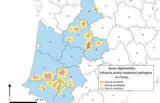 Twee nieuwe HPAI-uitbraken in Frankrijk