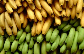 50 kilo cocaïne aangetroffen tussen bananen