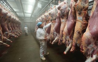 Braziliaans vleesschandaal biedt kans voor Nederland