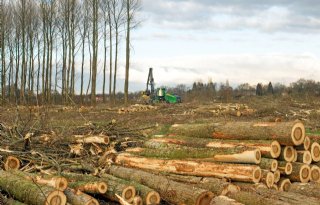 Achterban: Natuurmonumenten kap minder bos