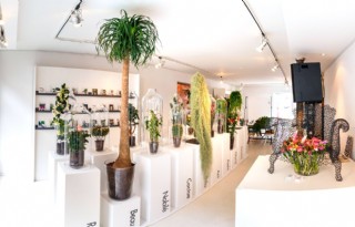 Modellenbureau voor planten geopend