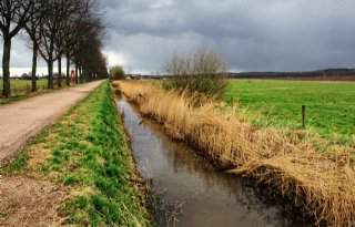 Pilot akkerranden Natuurrijk Limburg