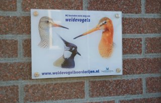 Weidevogelpact Midden Delfland gestart