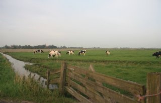 Noord-Holland zoekt boeren voor pacht