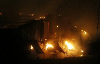 Pluimveestal brandt uit in Tzum