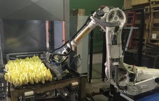 Witlofteler leegt bakken met robot (video)