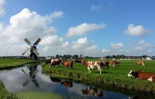 Schoner water Zuid-Holland wordt beloond