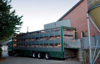 Van Dam zegt onderzoek naar lagere keuringskosten varkenssector toe