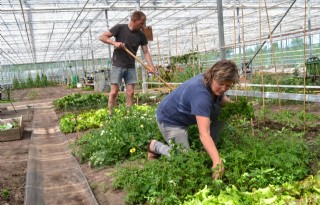 Voedselcommunity start in Friesland