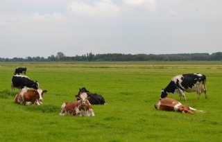 Geld voor verduurzaming landbouw Zuid-Holland
