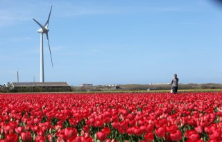 Kamer vraagt meer geld voor kleine windmolenprojecten
