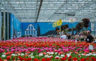 FlowerTrials trekt 13 procent meer bezoekers