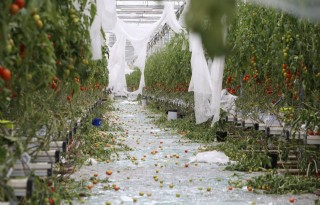 Ministerie onderzoekt klimaatbestendig boeren