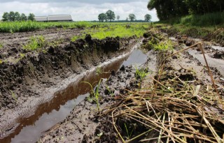 Landbouwkundig ingenieur ziet aandacht voor bodem als blijvertje