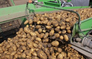 Bijna 4 miljoen ton verwerkte aardappelen