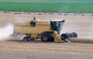 Graanproductie EU stijgt met 6 procent