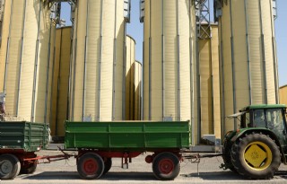 Europese graanvoorraad daalt 13 procent