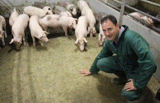 Veeneman+combineert+varkensbedrijf+met+baan+bij+bank