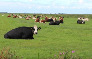 FPG kraakt behandeling grondgebonden veehouderij