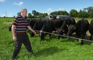 Ierse rundveehouder volgt weg naar duurzame toekomst