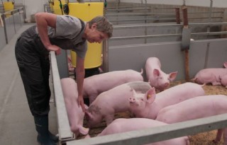 Varkenshoudster schittert in reclamespot Albert Heijn