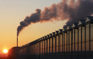 Glastuinbouw stoot evenveel CO2 uit als vier jaar geleden