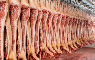 ABN Amro verwacht druk op varkensprijs