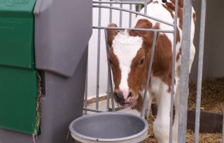 LTO Melkveehouderij vindt 'deel blokkades onverteerbaar'
