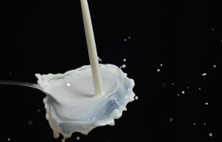 Melkprijs blijft hoog ondanks daling