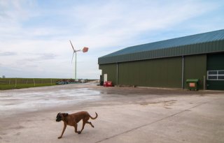 Roep om windmolens van 15 meter in Friesland