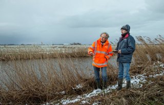 Boeren onderhouden Friese dijken steeds beter