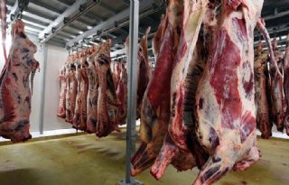Frans rundvlees weer naar China