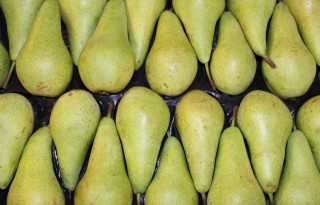 Belgische fruitteeltsector komt met actieplan