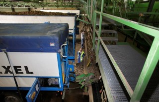 Nederlandse verwerkers door grens 4 miljoen ton aardappelen