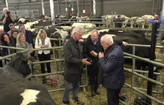 VVD wil veemarkt in Leeuwarden behouden