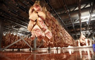 EU slacht meer en zwaardere varkens in eerste halfjaar 2021