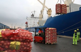 Nederland exporteert 0,85 miljoen ton uien