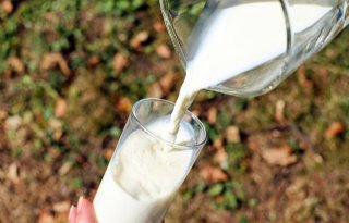 Nederlander drinkt steeds minder melk