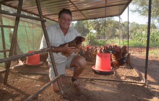 Mobiele kippenren past bij Zuid-Afrikaanse boer