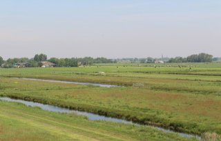 Zuid-Hollandse landschapstafels te onbekend
