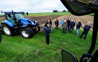 Mais op veen in Friesland is prima mogelijk