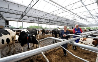 'Dit wordt de eerste koeientuin in Friesland'