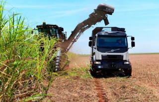 Volvo-truck voor grotere oogst suikerriet
