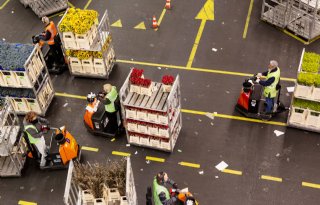 FloraHolland, KLM en Schiphol zetten logistiekalliantie op